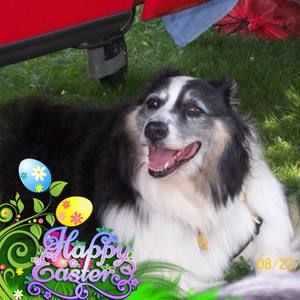 Meet your Posher, Sheri